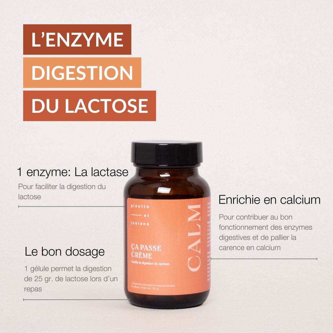 digestion lactose